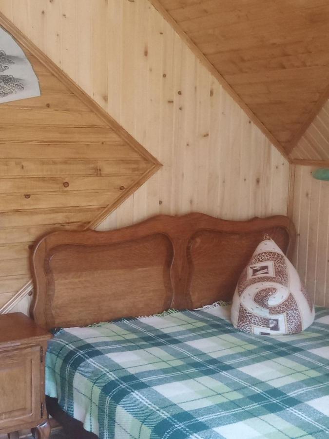 Green House 2 Уч Фальчі Вул Першого Травня Буд 5 Микуличин Екстериор снимка